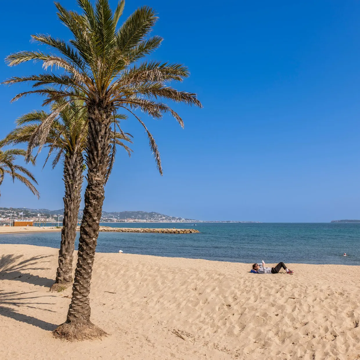 Trois palmiers sur une plage de sable fin avec une personne allongée à proximité et la mer en arrière-plan sous un ciel bleu clair