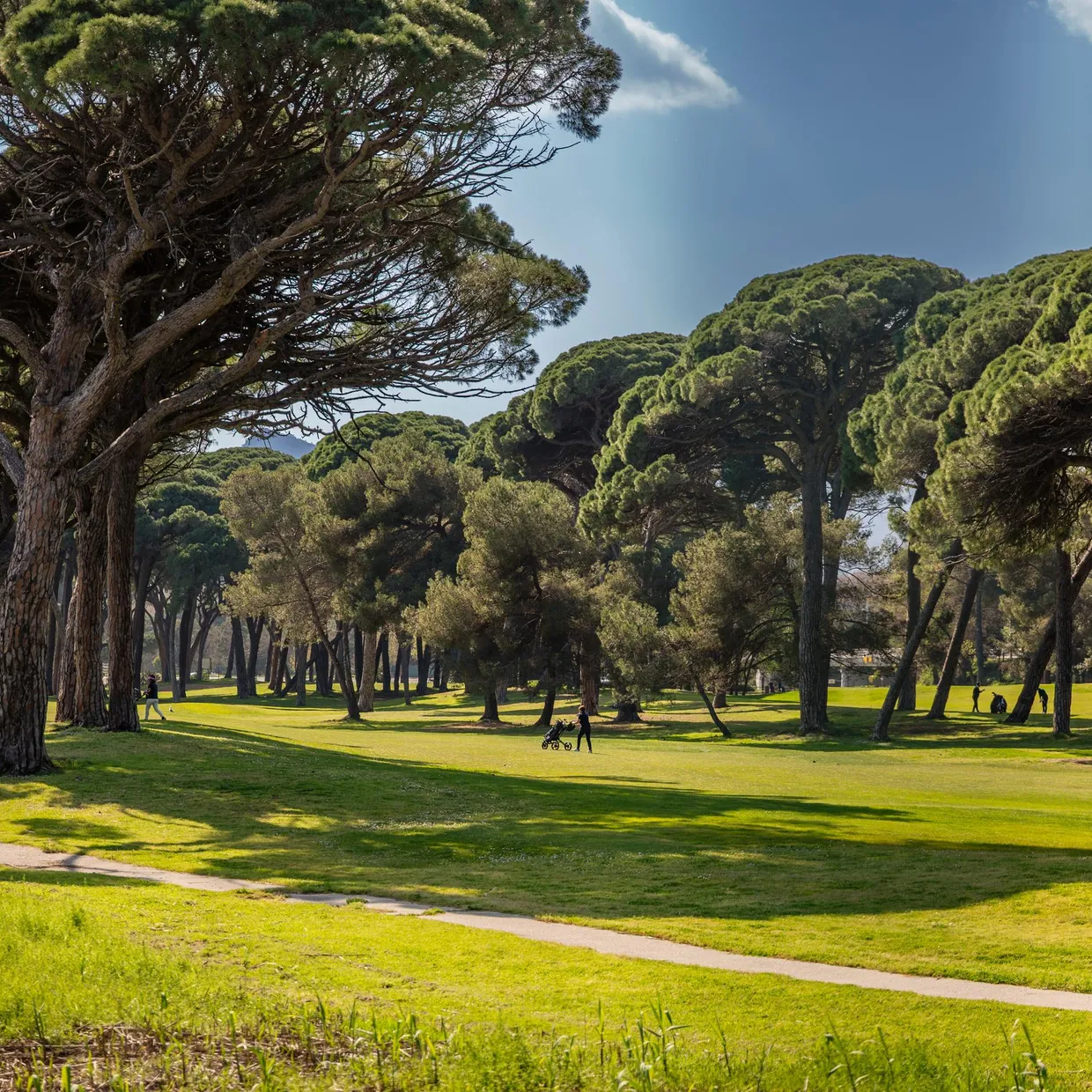 Un parc avec des arbres et une pelouse verte sous un ciel partiellement nuageux