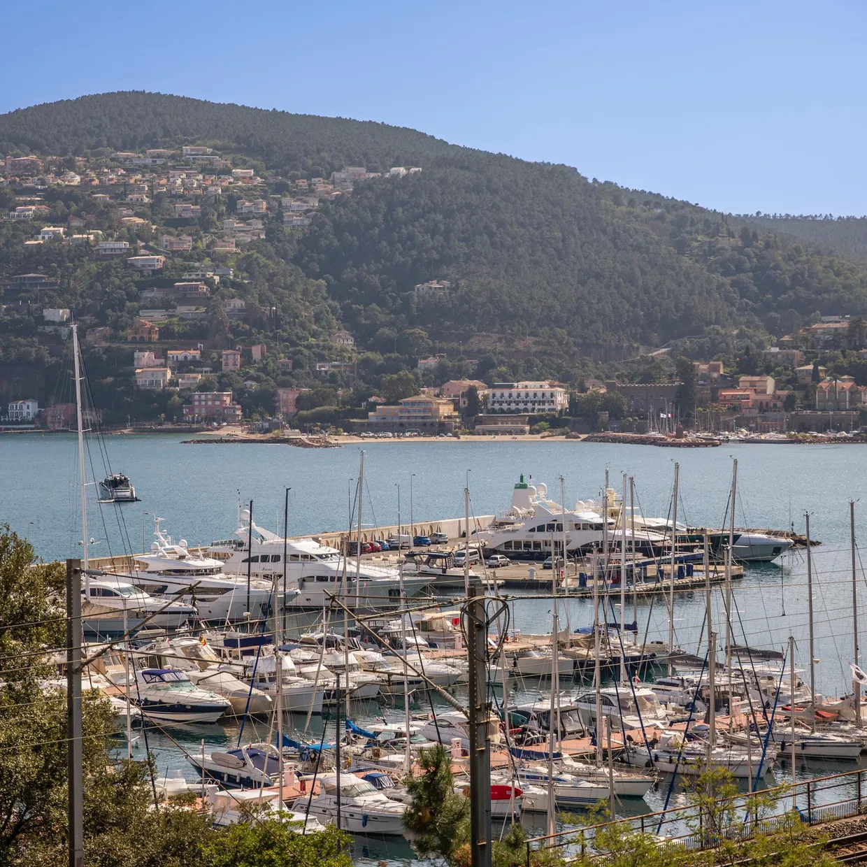 Un port de plaisance avec de nombreux bateaux amarrés, en contrebas d'une colline boisée et habitée