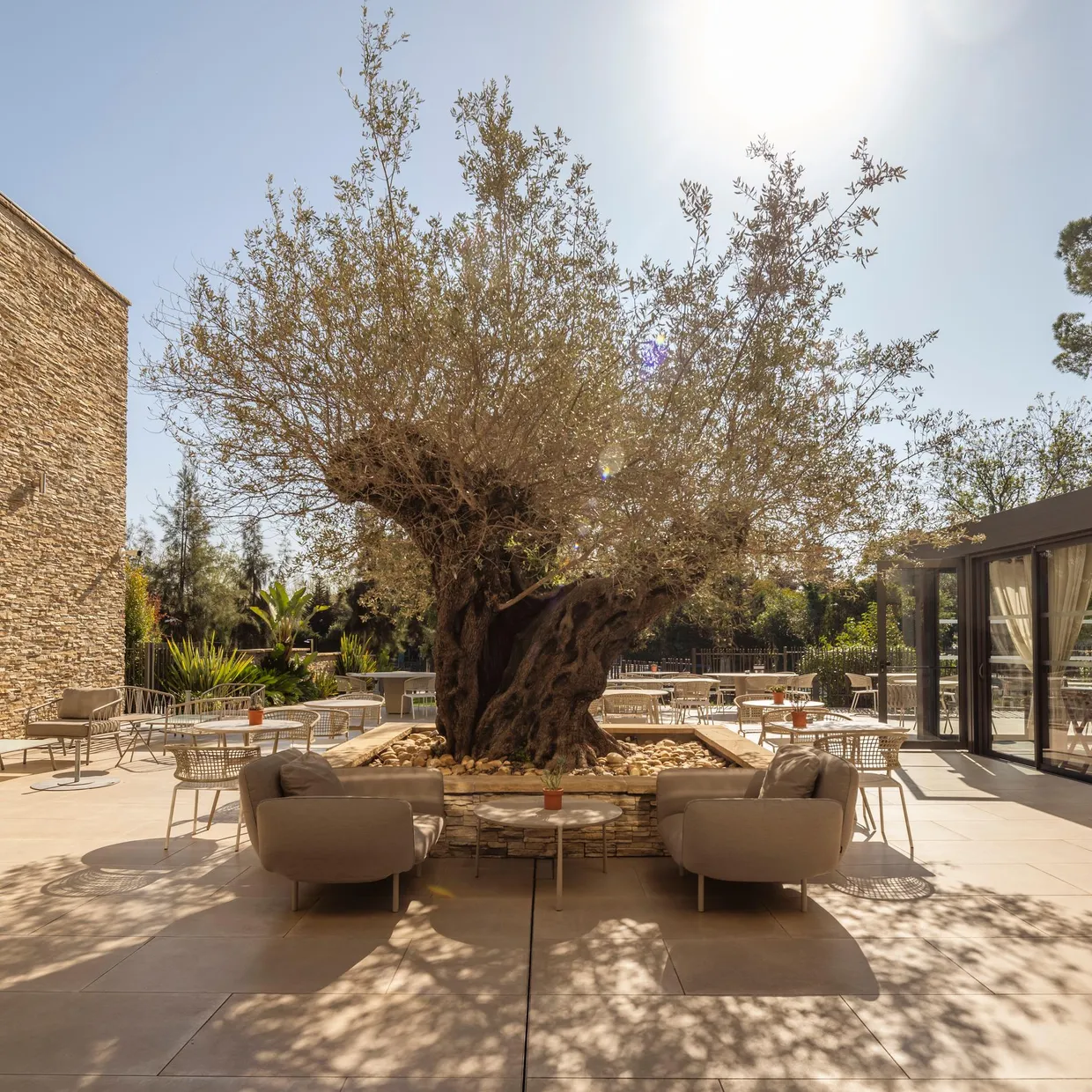 Terrasse extérieure avec des meubles, un arbre central et des bâtiments en pierre et verre en arrière-plan