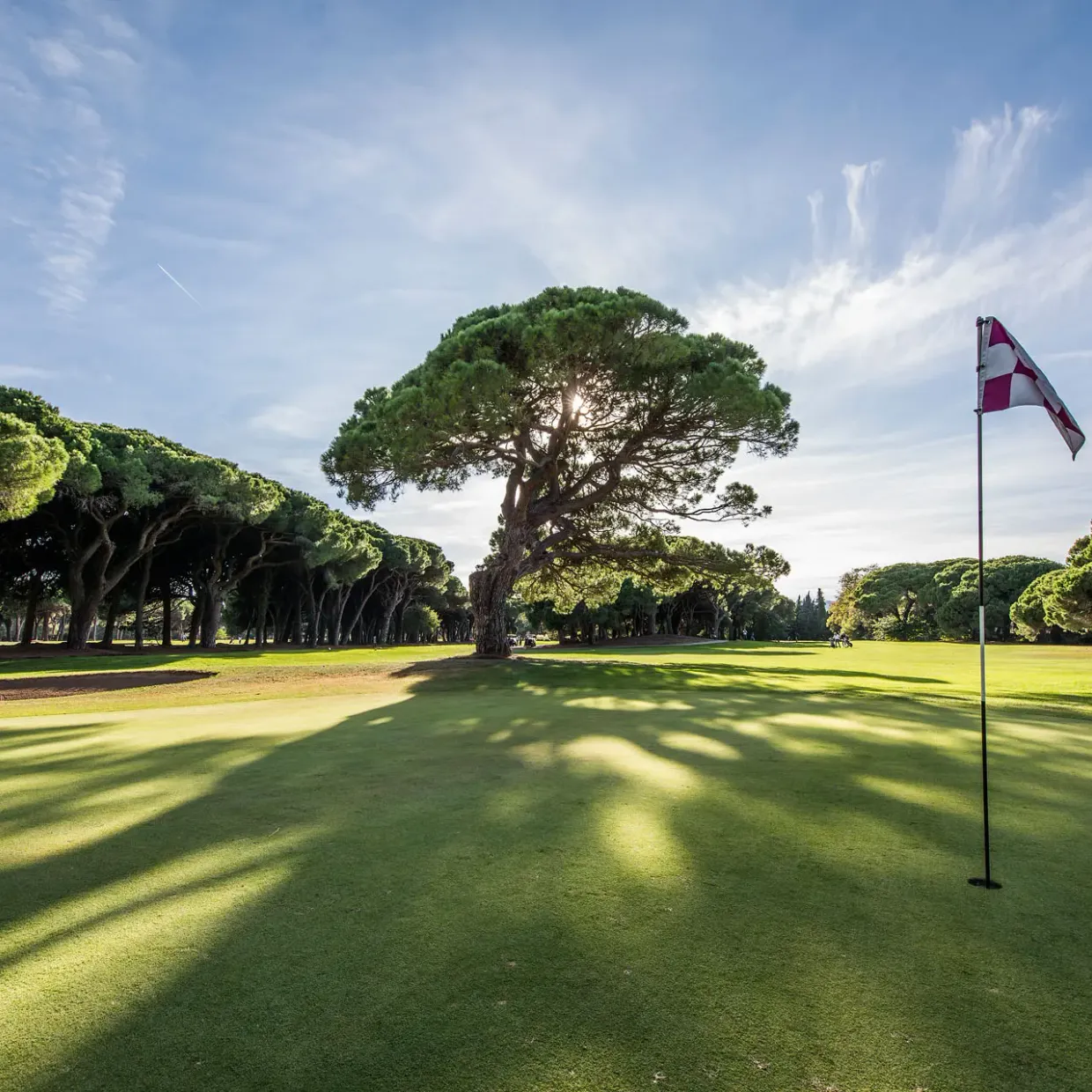 Un green de golf avec un drapeau marqué de rayures rouges et blanches sous un ciel partiellement nuageux, entouré d'arbres