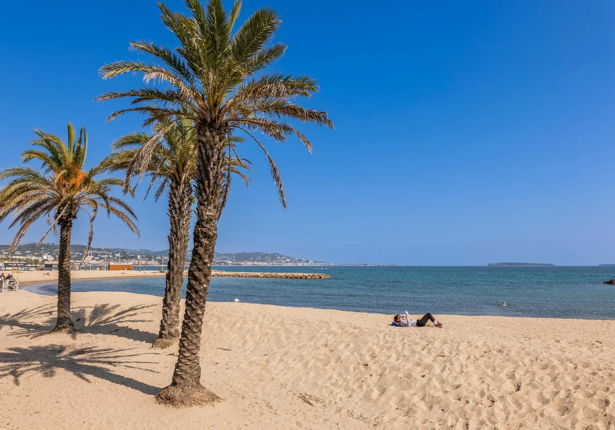 Trois palmiers sur une plage de sable fin avec une personne allongée à proximité et la mer en arrière-plan sous un ciel bleu clair