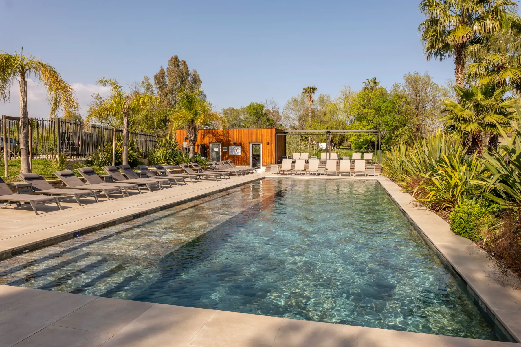 Piscine rectangulaire entourée de transats, avec des palmiers et des plantes en arrière-plan, et un bâtiment en bois à l'arrière