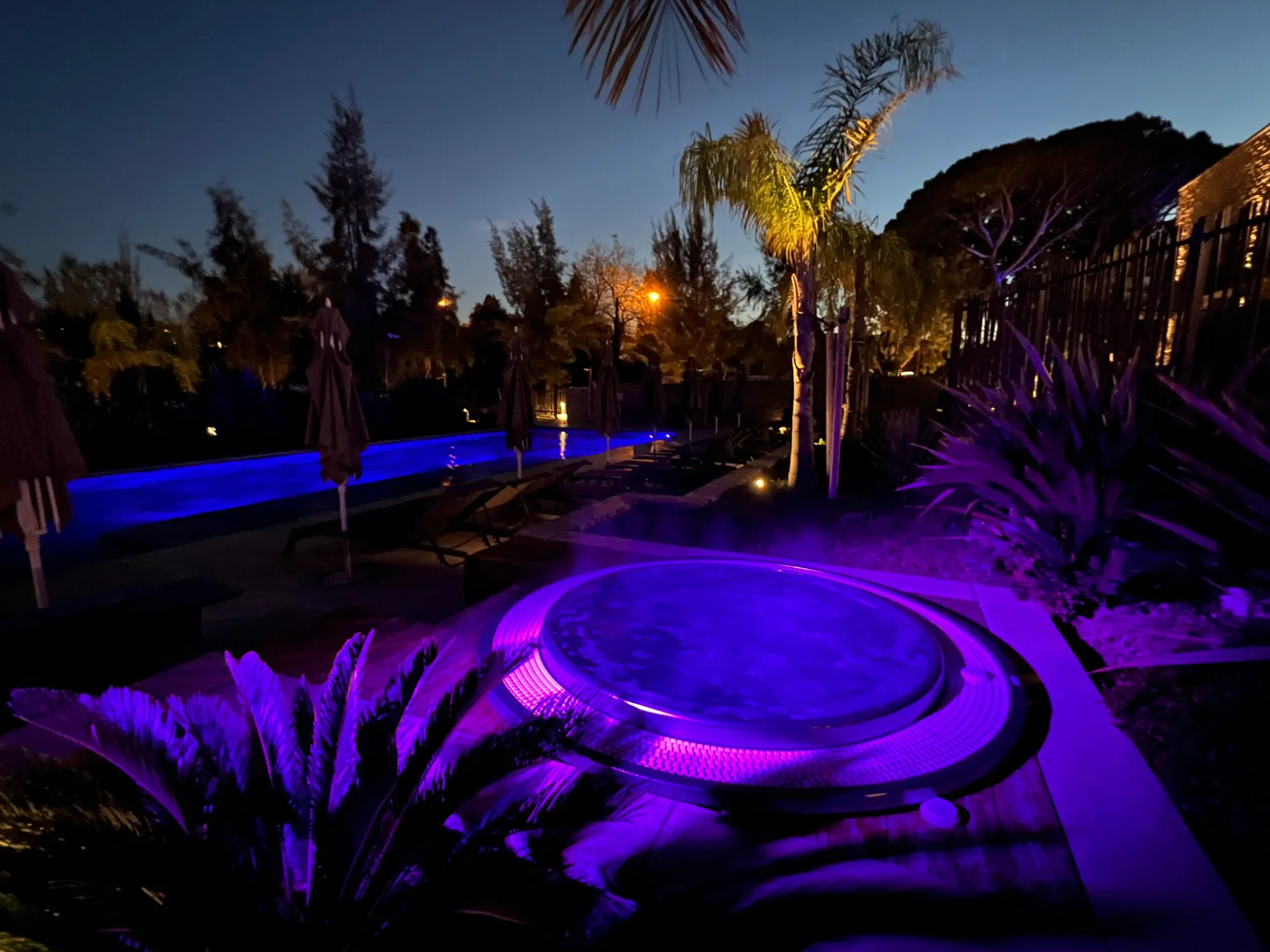 Piscine éclairée en bleu et violet entourée de végétation et de transats, avec des palmiers et des arbres en arrière-plan