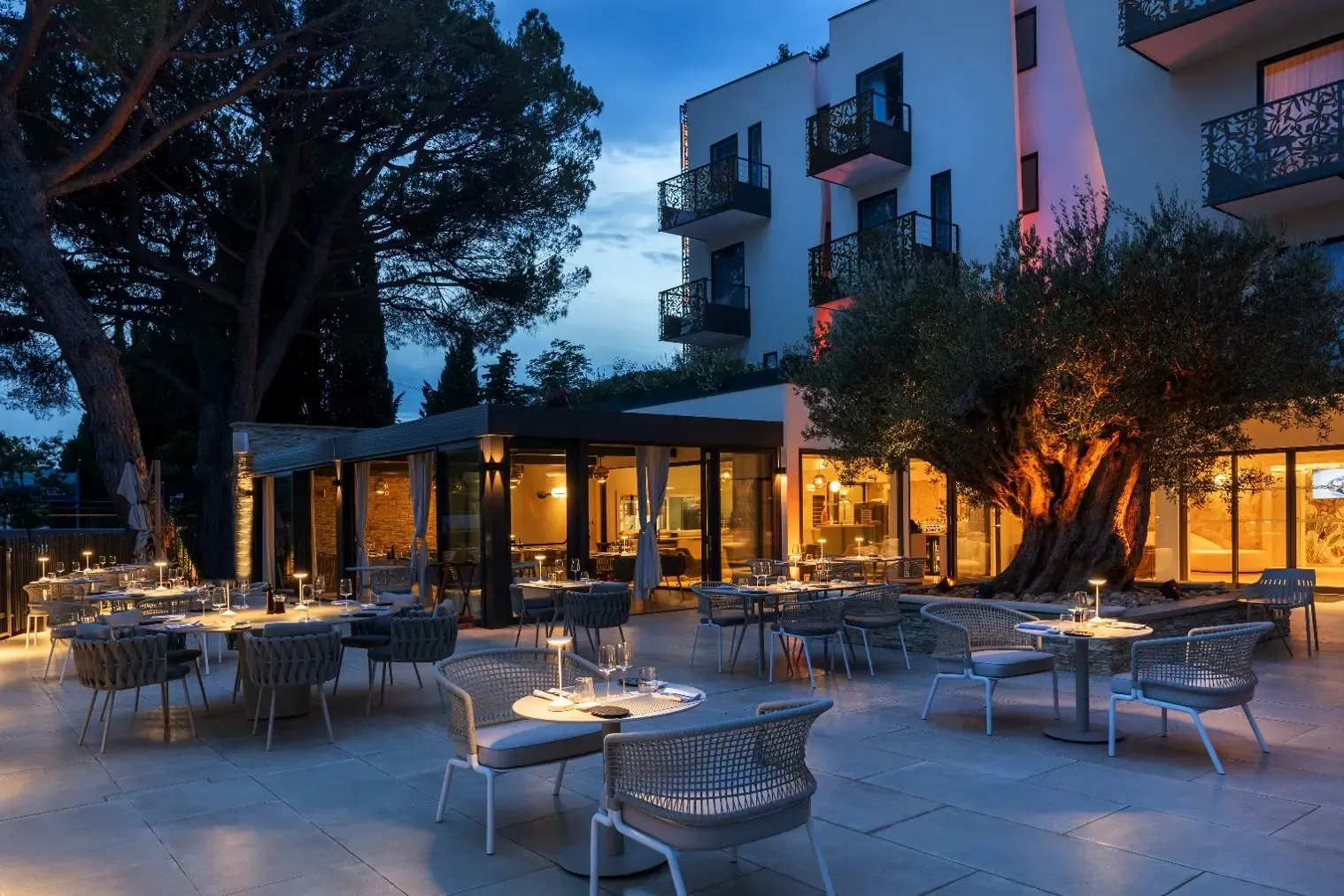 Terrasse de restaurant en soirée avec tables et chaises disposées sous des arbres, bâtiment moderne éclairé en arrière-plan